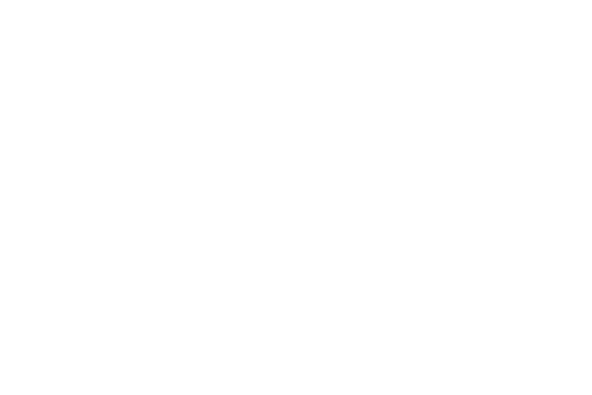 light logo