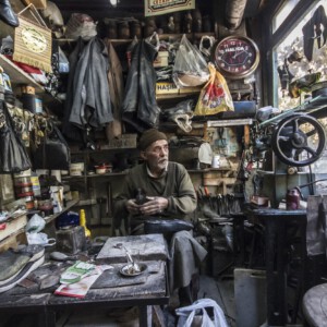 Portrait 7 Portrait 7